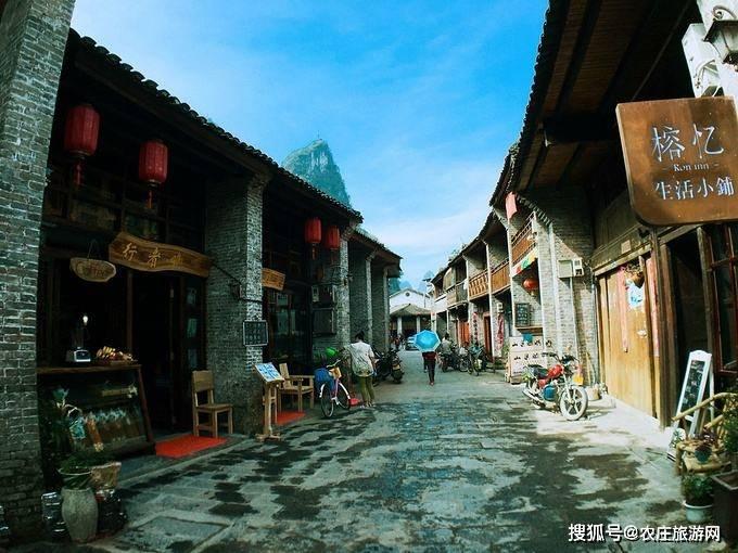 依靠气生根或吸盘分泌粘液粘附于其他之食物而生长的是？